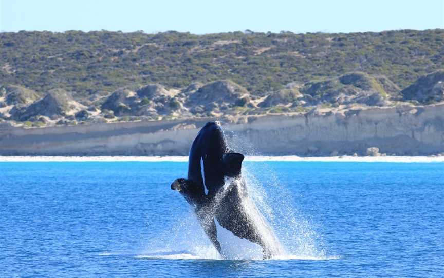 EP Cruises, Fowlers Bay, SA