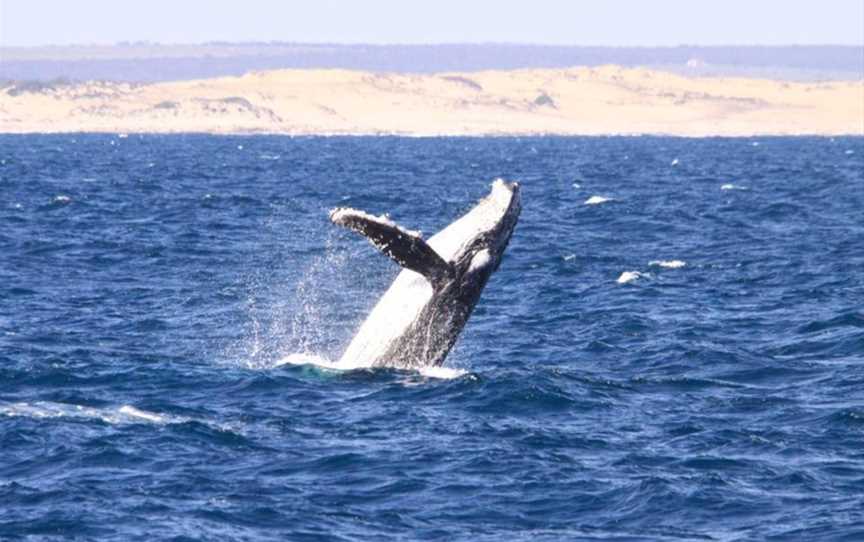 EP Cruises, Fowlers Bay, SA