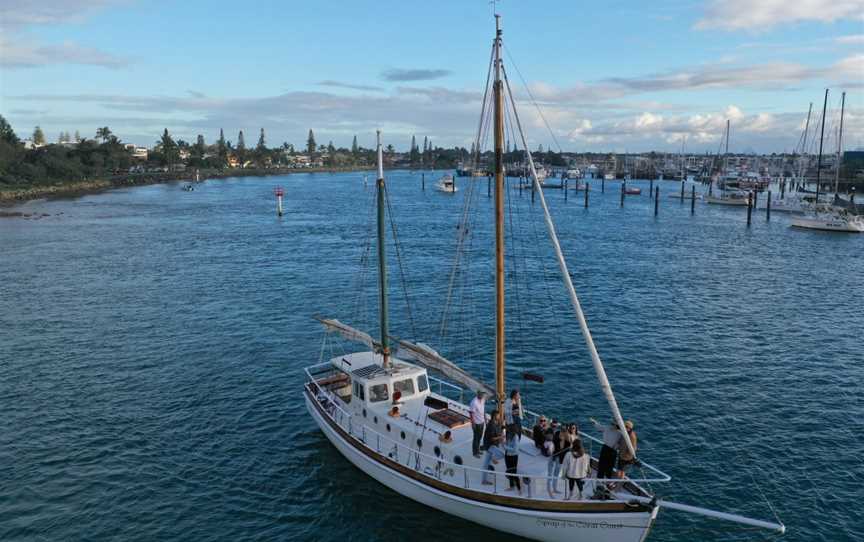 Saltwater Eco Tours, Mooloolaba, QLD