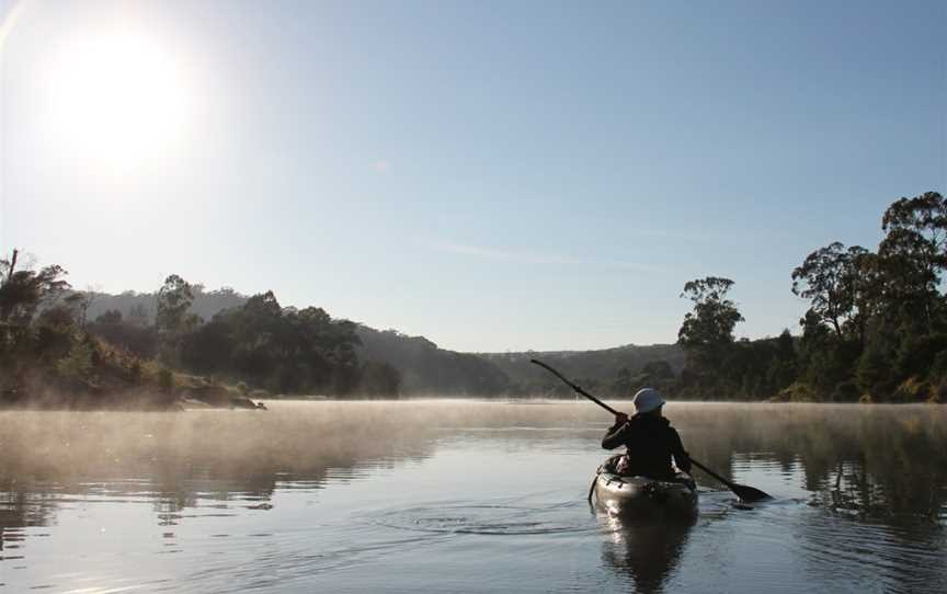 Kiah Wilderness Tours, Kiah, NSW