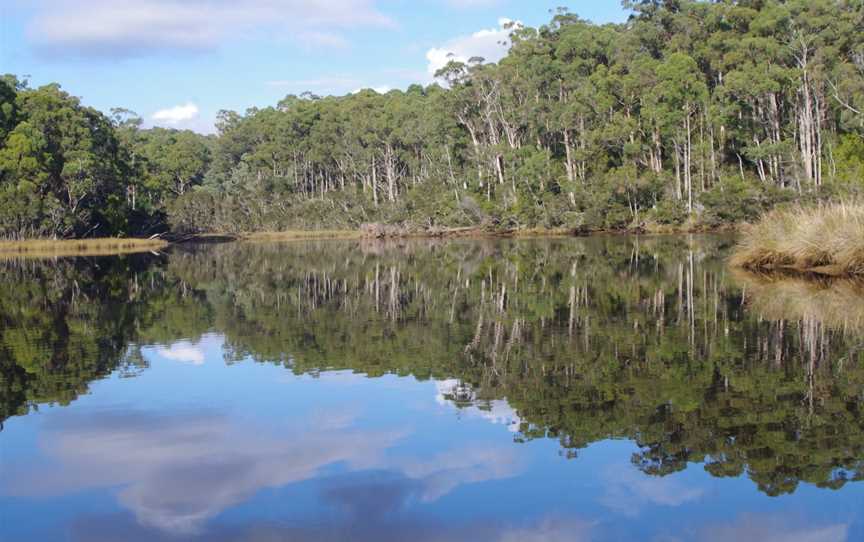 Leven River Cruises, Ulverstone, TAS