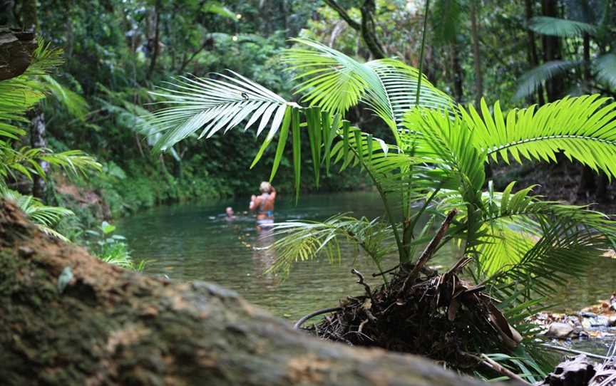 Odyssey Bound, Port Douglas, QLD