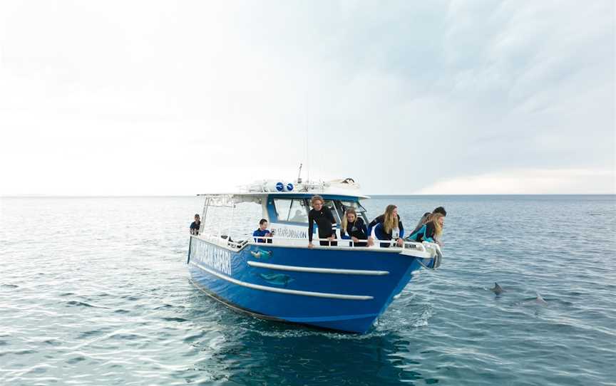 Kangaroo Island Ocean Safari, Penneshaw, SA