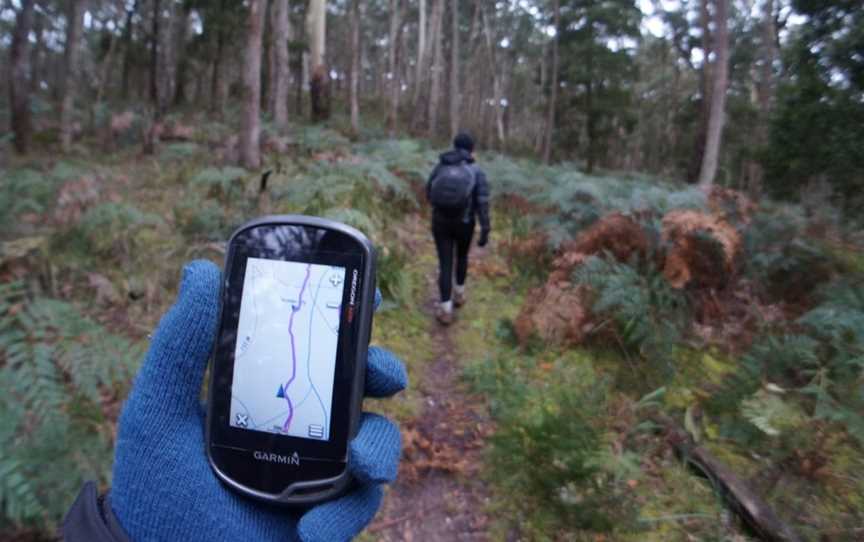 Secret Forest Walks, Daylesford, VIC