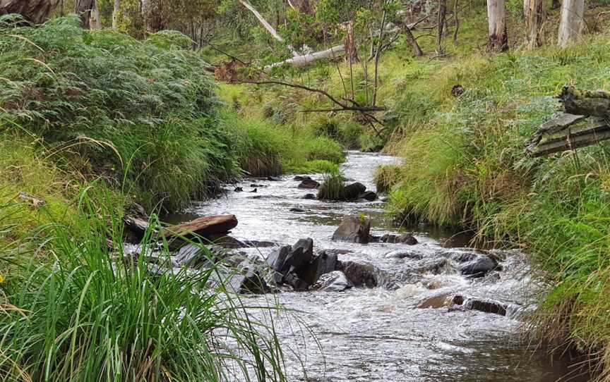 Detour Adventures - Tours, Bathurst, NSW