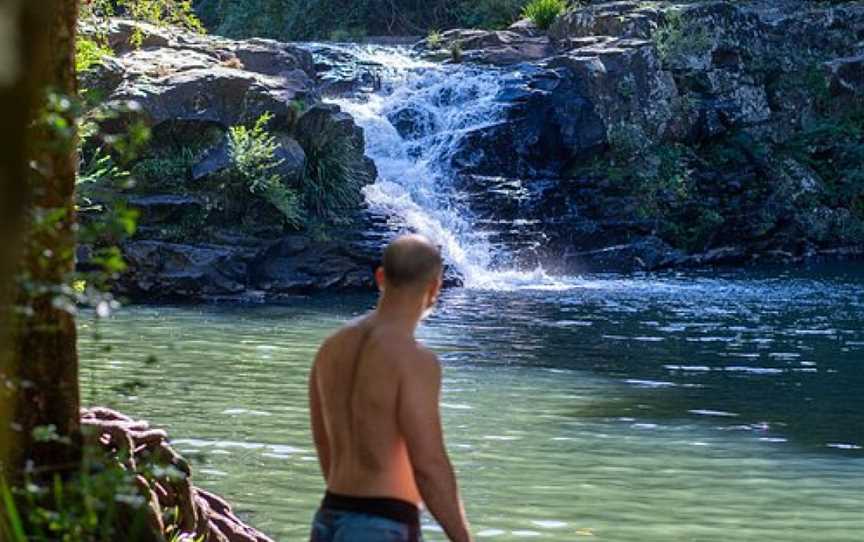 The Sunshine Coast Tour Company, Noosa Heads, QLD