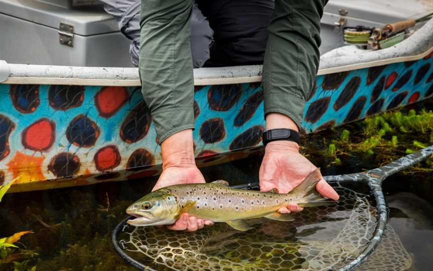 Goulburn Valley Fly Fishing Centre, Alexandra, VIC