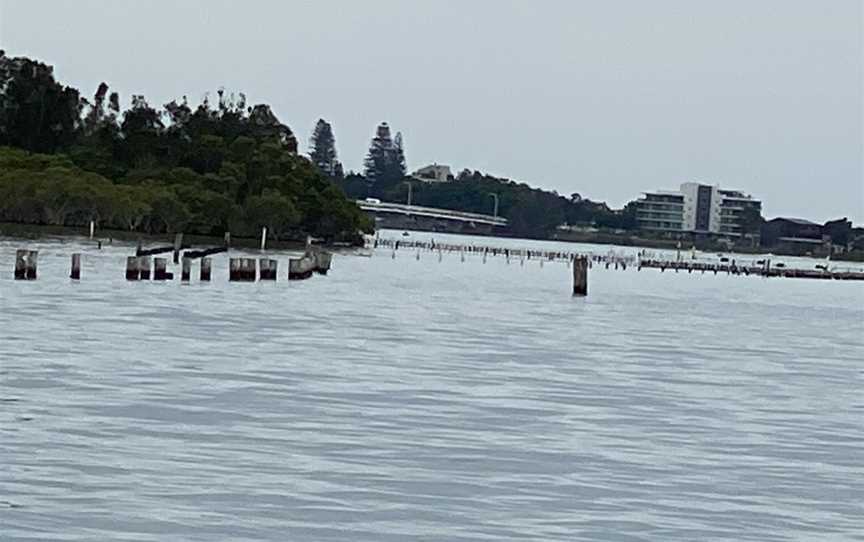 Free Spirit Cruises, Forster, NSW