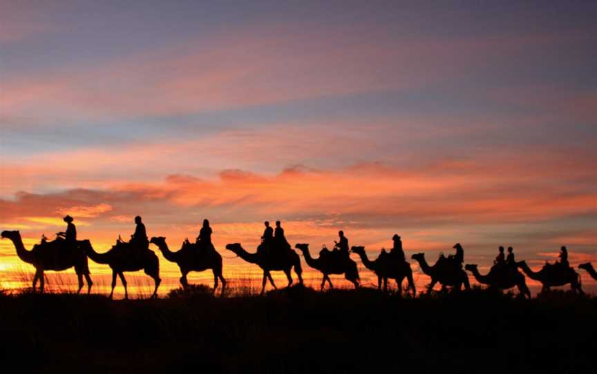 Uluru Camel Tours, Yulara, NT