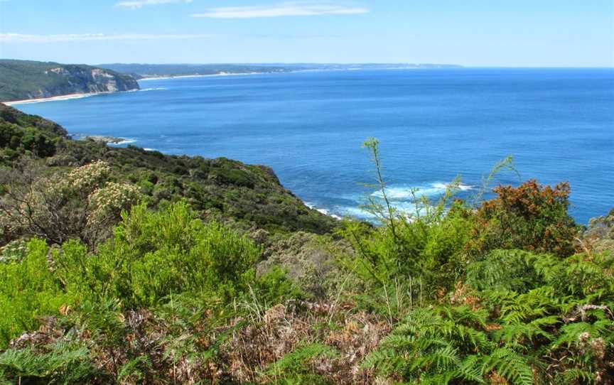 Walk 91, Apollo Bay, VIC