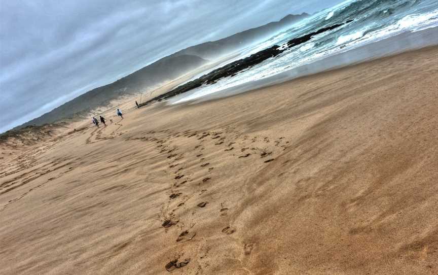 Walk 91, Apollo Bay, VIC