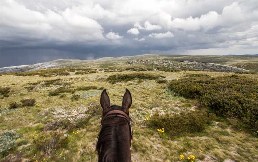 Bogong Horseback Adventures, Tawonga, VIC