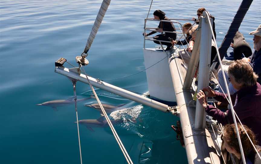 Temptation Sailing, Glenelg, SA