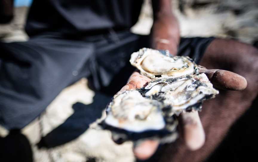 Cygnet Bay Pearl Farm Tours, Tours in Dampier Peninsula