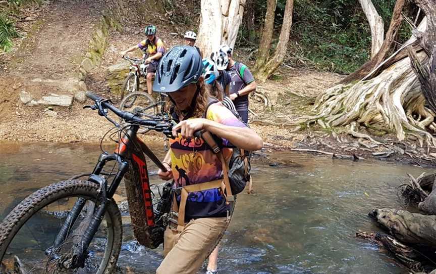 Bike N Hike Adventure Tours, Port Douglas, QLD