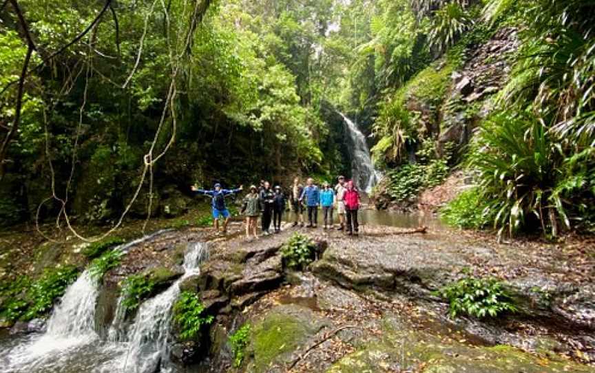 Rainforest Tours Australia, South Brisbane, QLD