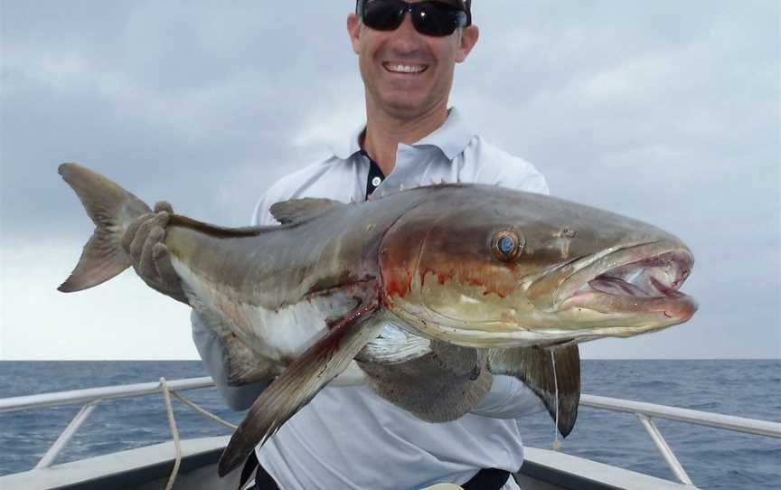 Out n About Sportfishing Tours, Port Douglas, QLD