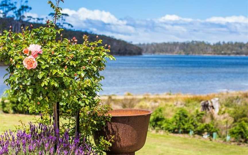 Port Arthur Lavender Farm · Tourist Attraction, Port Arthur, TAS