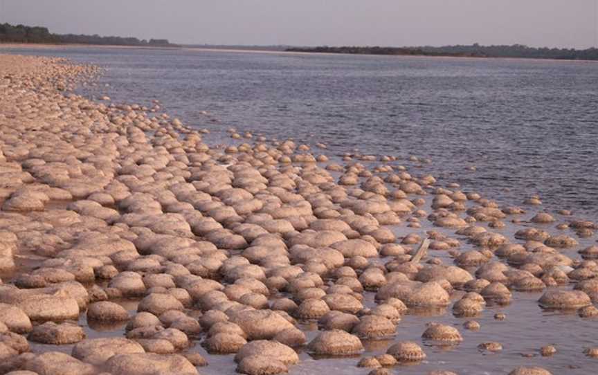 Salt and Bush Eco Tours, Mandurah, WA