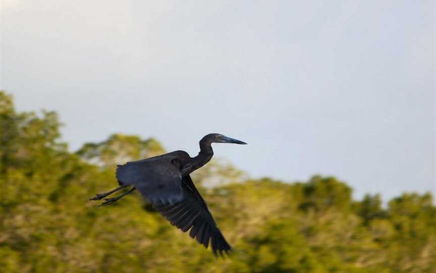 Western Cape Eco Tours, Weipa, QLD