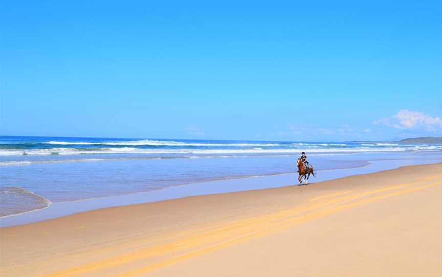 HWH Stables, Upper Orara, NSW