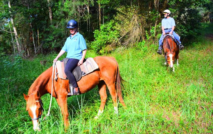 HWH Stables, Upper Orara, NSW