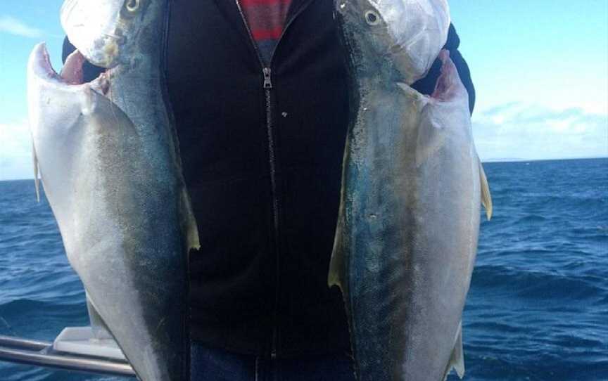 Proline Fishing Charters, Sorrento, VIC