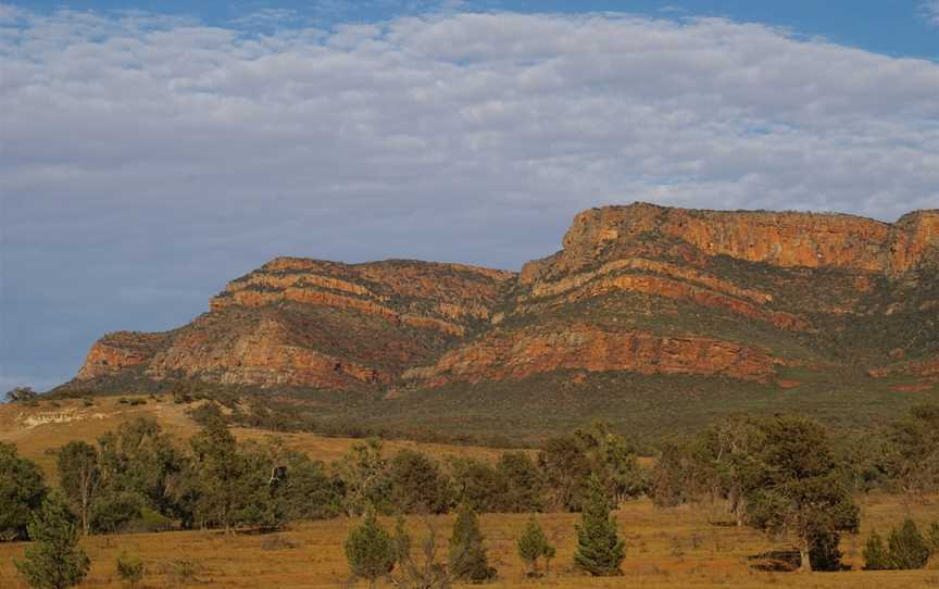 Wallaby Tracks Adventure Day Tours, Quorn, SA