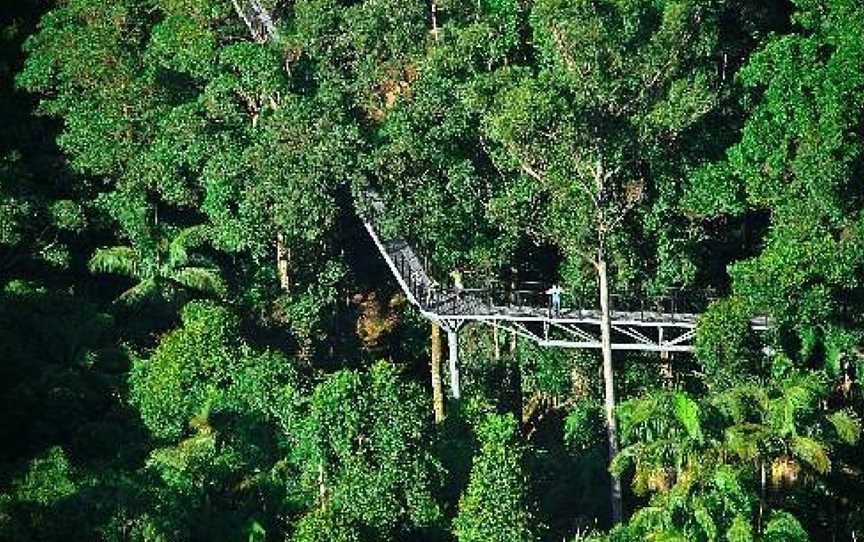 Tamborine Rainforest Skywalk, Tamborine Mountain, QLD