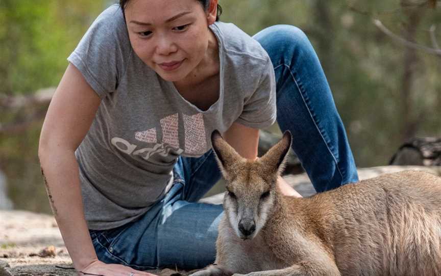 Sydney Guided Tours, Sydney, NSW