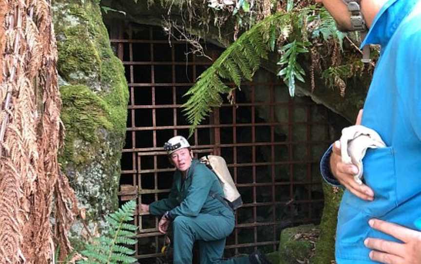 Wild Cave Tours, Mole Creek, TAS