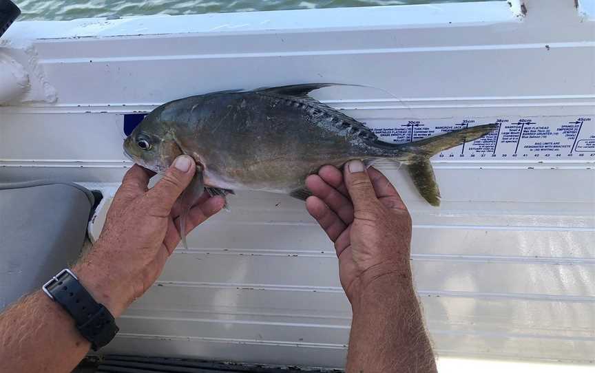 Noosa Fishing and Crab Adventures, Noosaville, QLD