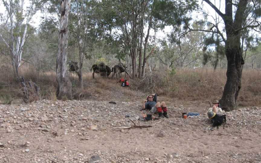 Wilderness Expeditions Tasmania Pty Ltd, Tasmania, TAS