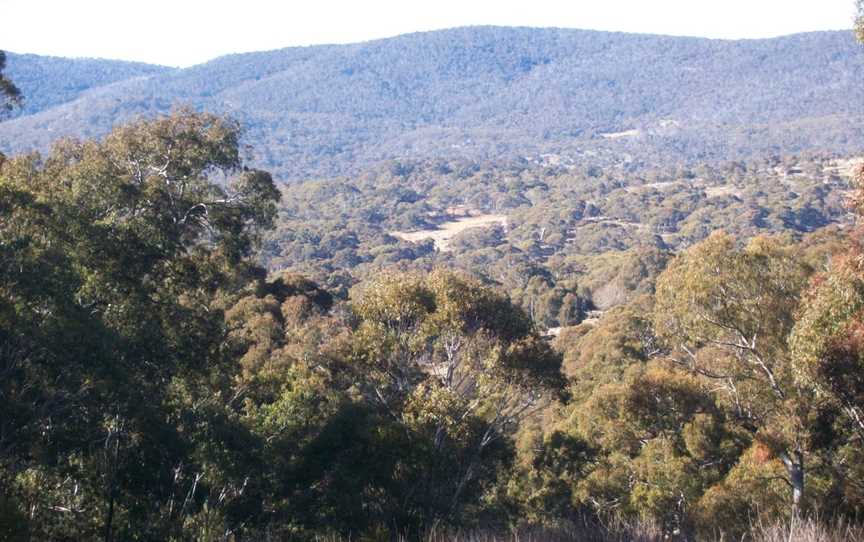 Thredbo Valley Horse Riding, Crackenback, NSW