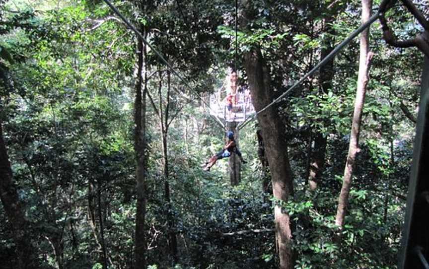 Jungle Tours And Trekking, Bungalow, QLD