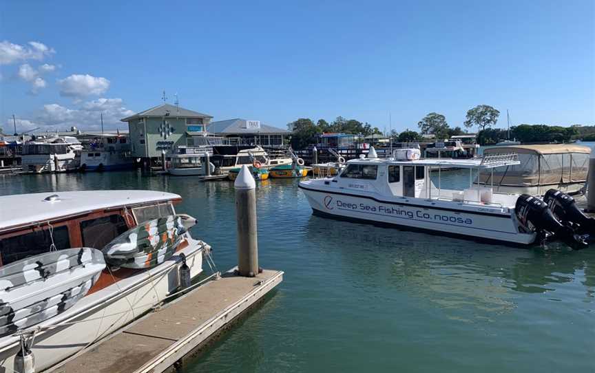 Deep Sea Fishing Co Noosa Aboard CATCH 22 & DEEPSEA 7, Tewantin, QLD