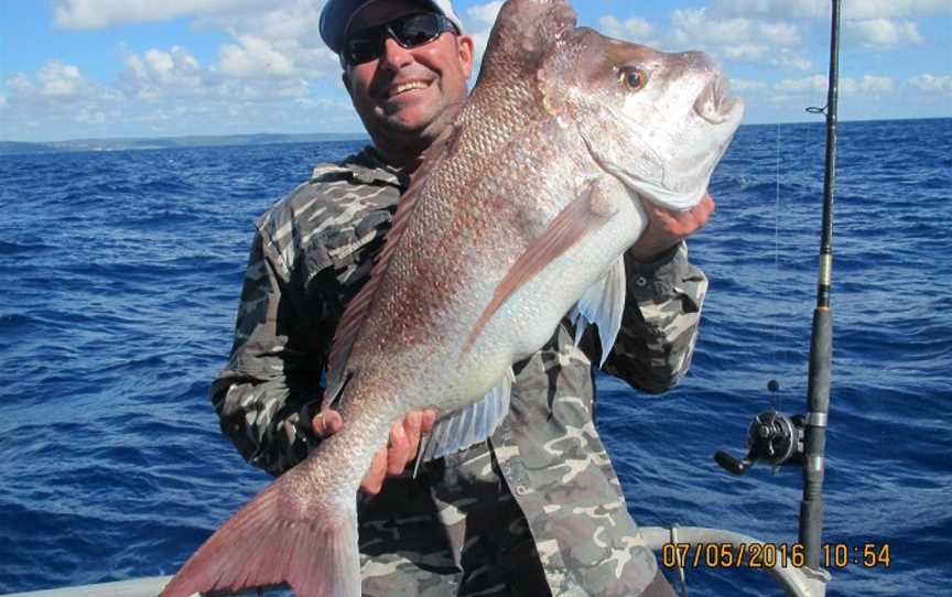 Frenzy Charters, Brisbane, QLD