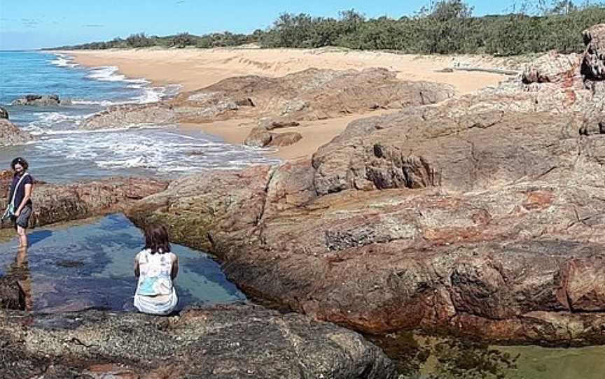 Moondoggie Beach & Bush Tours, Agnes Water, QLD