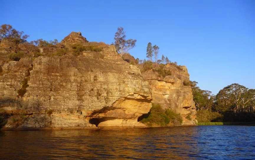 Dingo Tours, Randwick, NSW