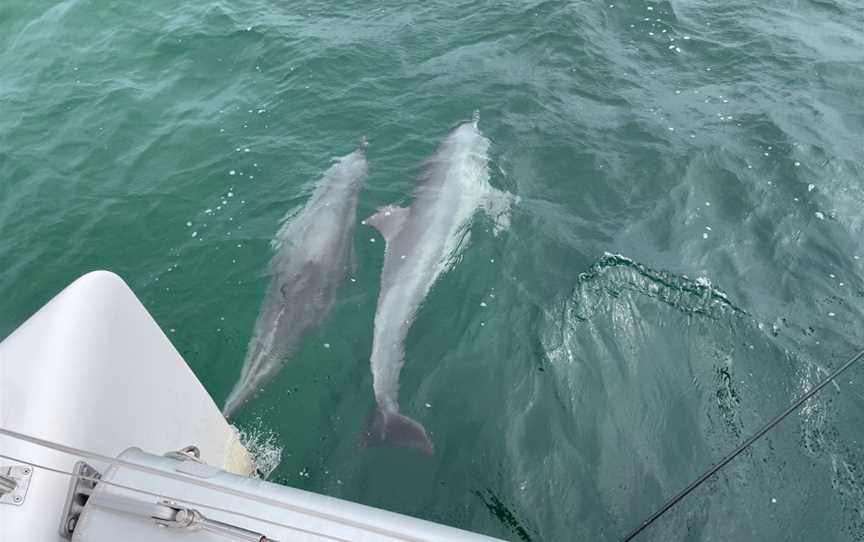 Sunset Charters, Coffin Bay, SA