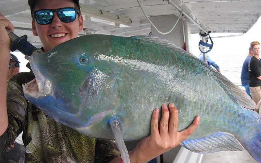 Top Catch Charters, Mooloolaba, QLD