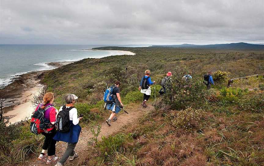 Yuraygir Walking Experiences, Minnie Water, NSW