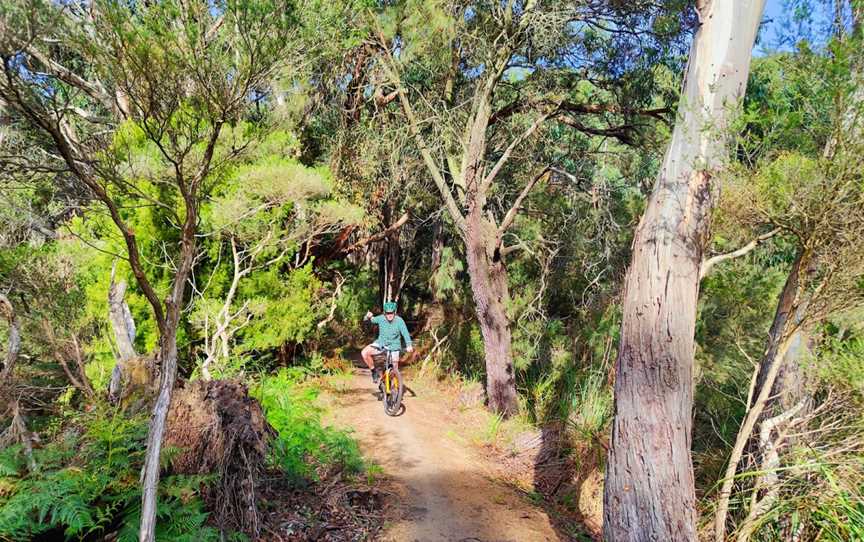 Red Hill Trail Co, Red Hill, VIC