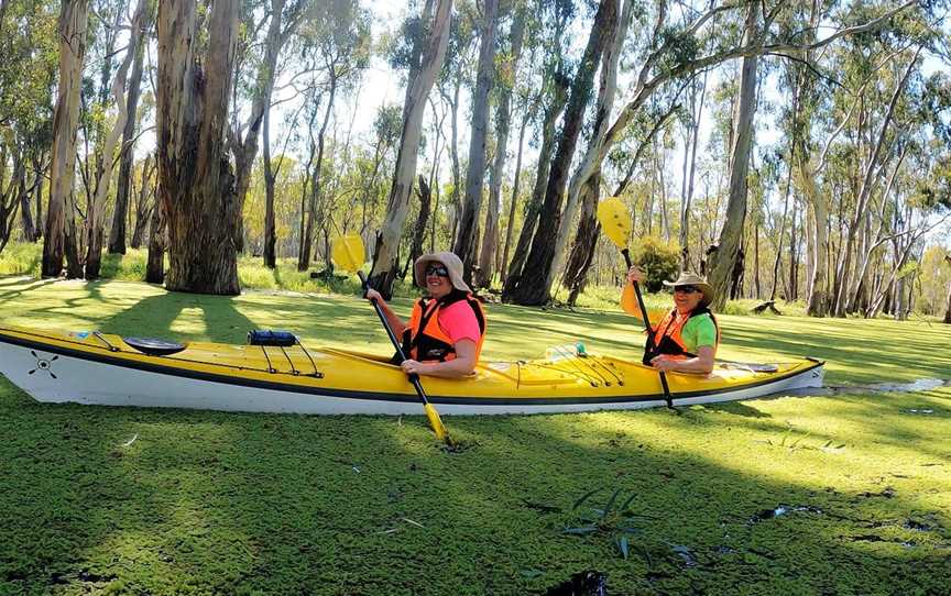 Murray River Adventures, Cohuna, VIC