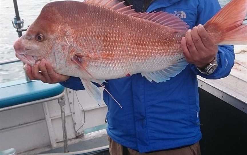 Mako Fishing Charters, Lakes Entrance, VIC