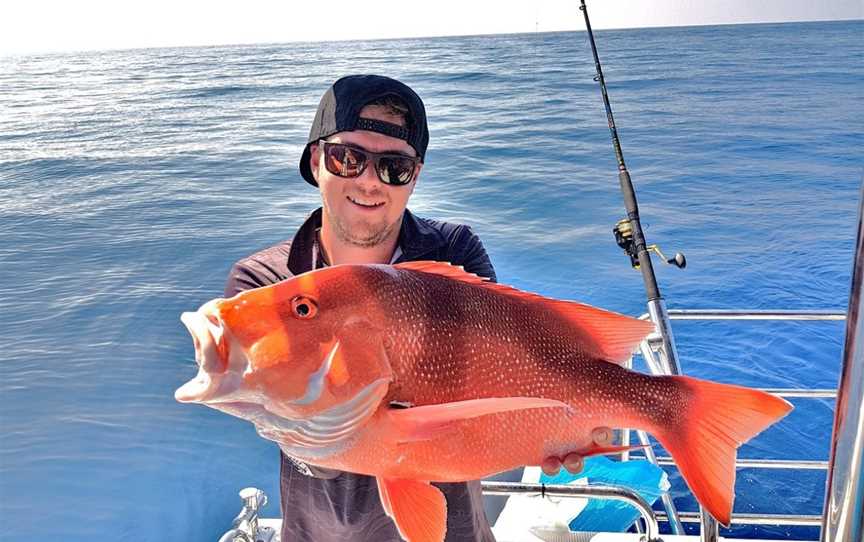 Reef Fish & Dive 1770, Agnes Water, QLD