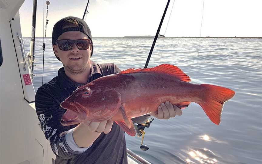 Reef Fish & Dive 1770, Agnes Water, QLD