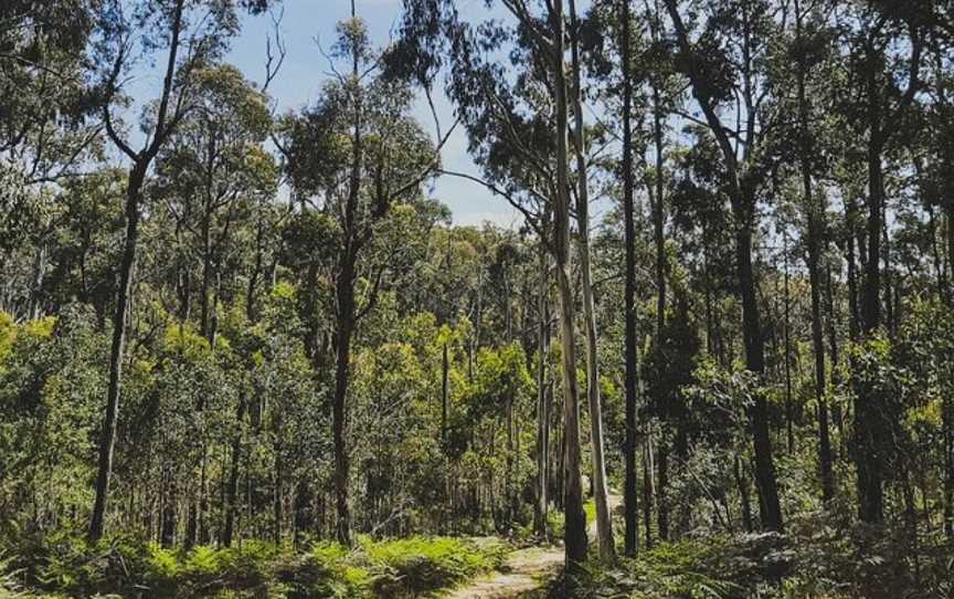 Wild Mindfulness Australia, Daylesford, VIC