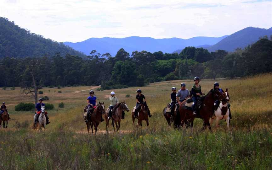 McCormack's Mountain Valley Trail Rides- Day Tours, Merrijig, VIC