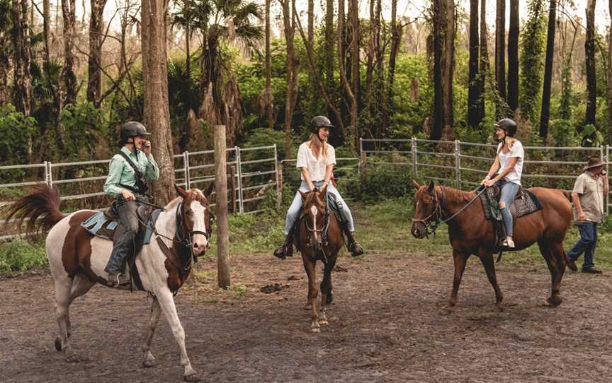 Horse About Tours, Tuncurry, NSW